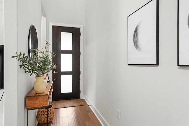 1213 Silver Dollar Trl, Georgetown, TX 78628 - entrance foyer with baseboards and wood finished floors