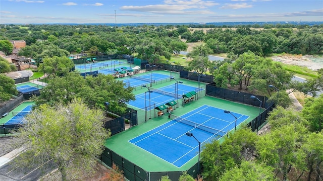 108 Fishspear Ln, Georgetown, TX 78628 - bird's eye view
