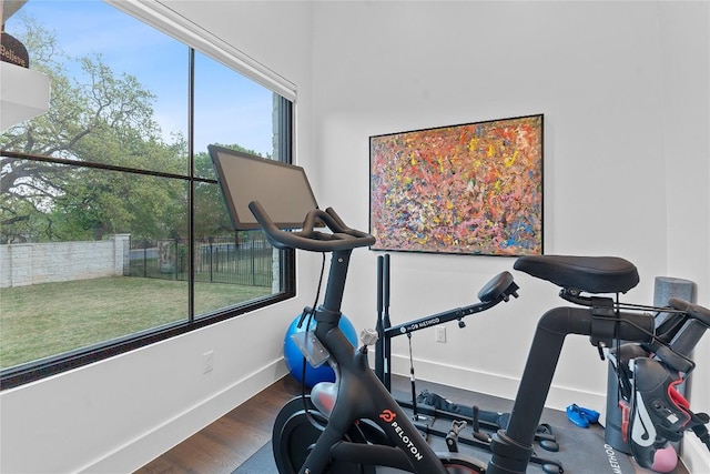 108 Fishspear Ln, Georgetown, TX 78628 - workout room featuring wood finished floors and healthy amount of natural light