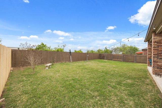 30336 Tiger Woods Dr, Georgetown, TX 78628 - view of yard