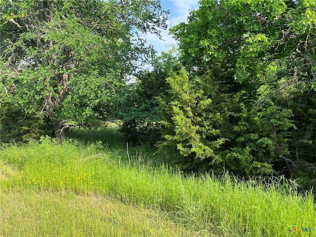 77 Jessamine Dr, Belton, TX 76513