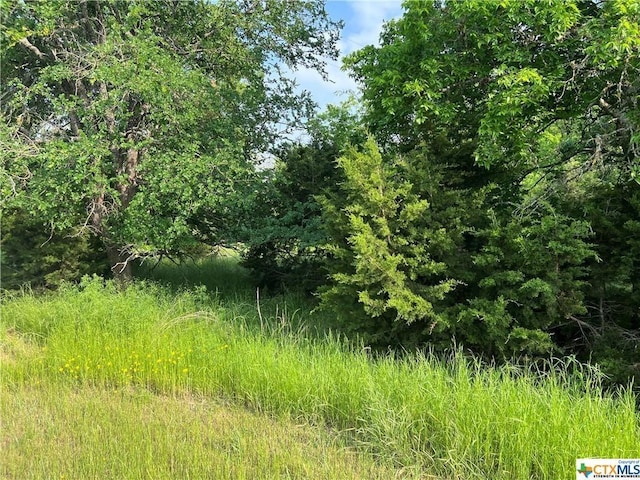 77 Jessamine Dr, Belton, TX 76513