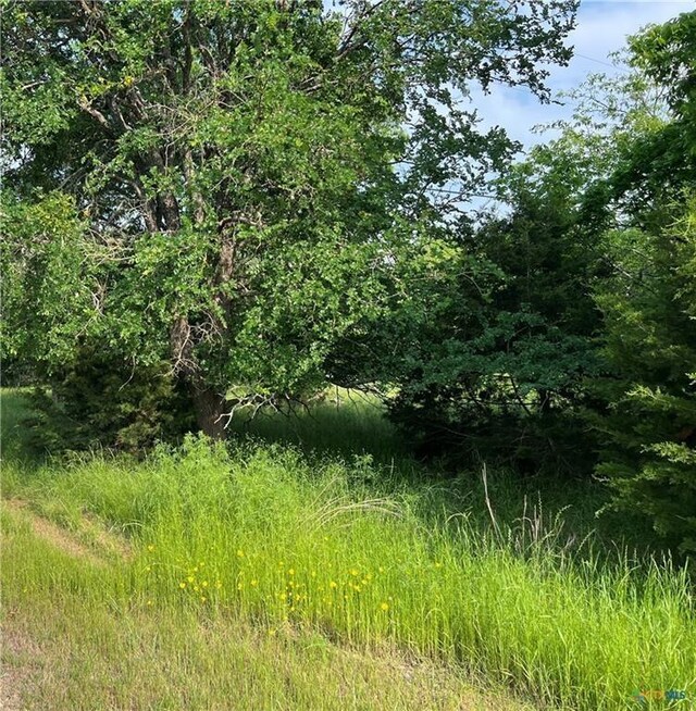 77 Jessamine Dr, Belton, TX 76513
