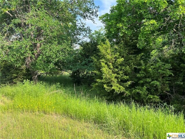 77 Jessamine Dr, Belton, TX 76513