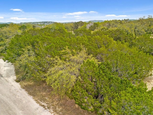 6711 Bar K Clubhouse Ct, Lago Vista, TX 78645 - photo 32