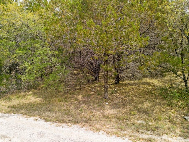 6711 Bar K Clubhouse Ct, Lago Vista, TX 78645 - photo 38