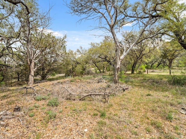 6711 Bar K Clubhouse Ct, Lago Vista, TX 78645 - photo 11