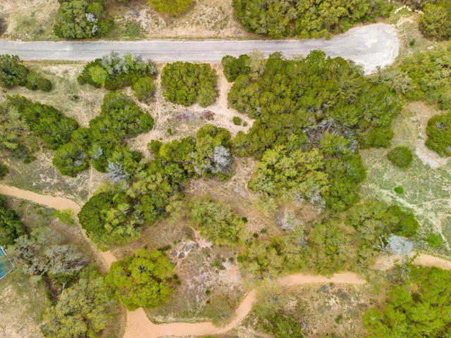 6711 Bar K Clubhouse Ct, Lago Vista, TX 78645 - photo 27
