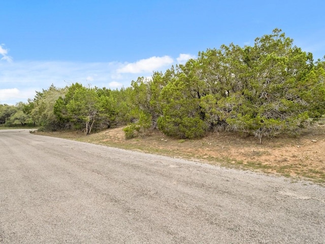 6711 Bar K Clubhouse Ct, Lago Vista, TX 78645 - photo 6
