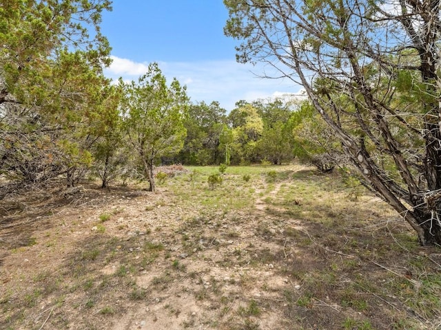 6711 Bar K Clubhouse Ct, Lago Vista, TX 78645 - photo 7