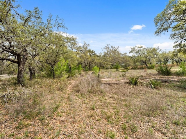 6711 Bar K Clubhouse Ct, Lago Vista, TX 78645 - photo 9