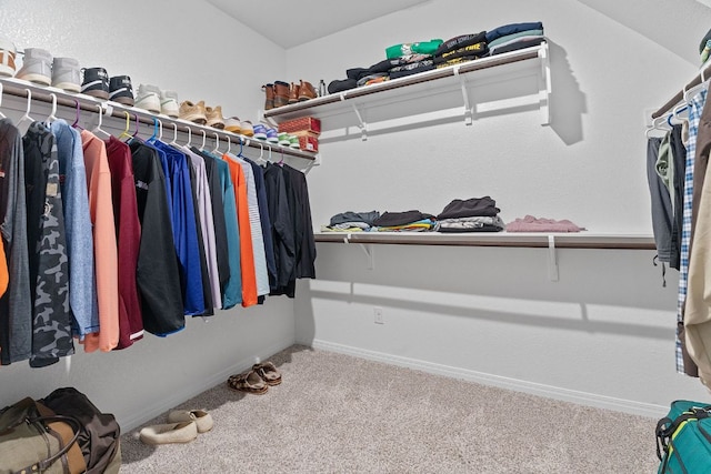 walk in closet with carpet