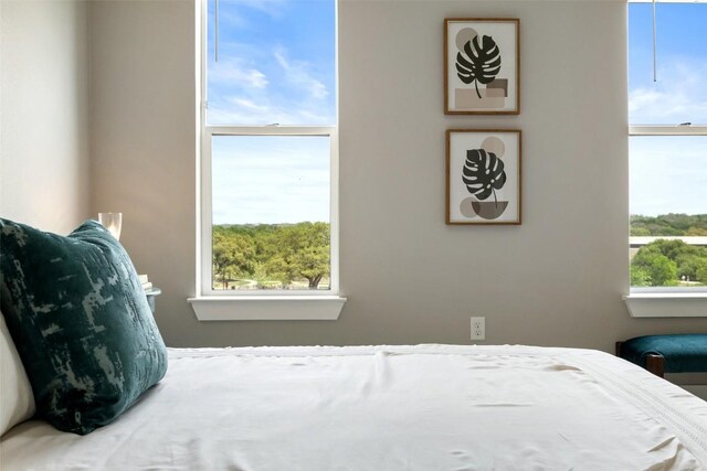 4501 Jackson Ave Unit 5205, Austin, TX 78731 - view of bedroom