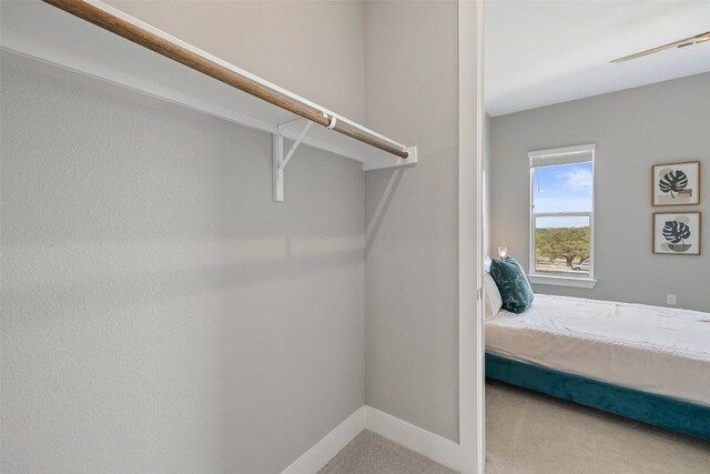 4501 Jackson Ave Unit 5205, Austin, TX 78731 - walk in closet featuring carpet floors