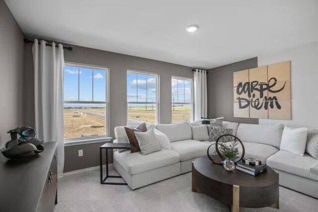 13312 Lapoynor St, Manor, TX 78653 - living room with baseboards