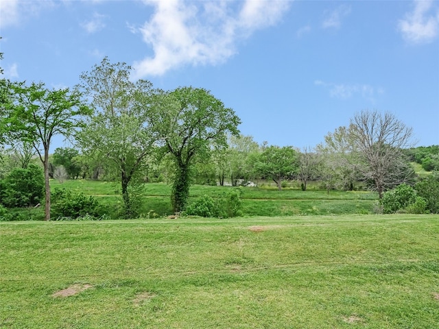 539 Colovista Pkwy Unit C103, Bastrop, TX 78602 - view of green lawn