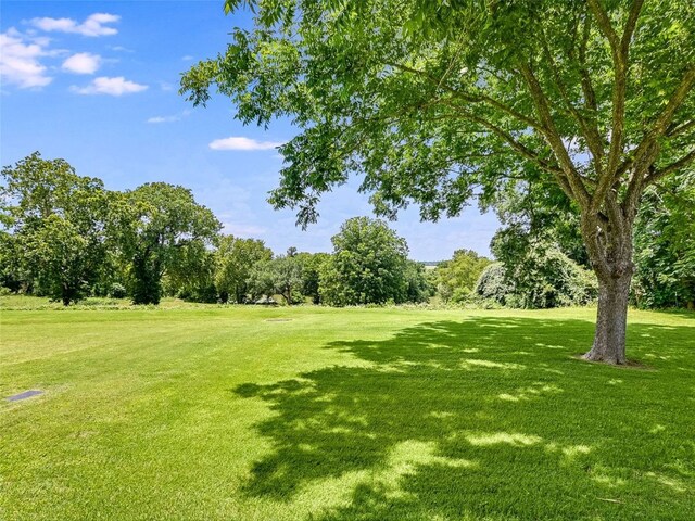539 Colovista Pkwy Unit C103, Bastrop, TX 78602 - view of grassy yard featuring view of wooded area