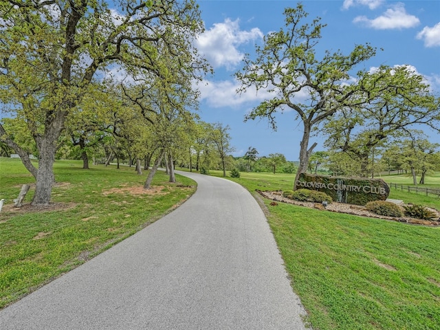 539 Colovista Pkwy Unit C103, Bastrop, TX 78602 - view of asphalt road