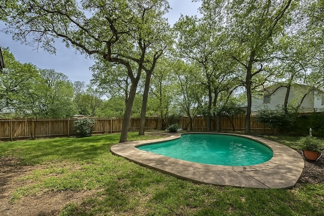 407 Trumpet Vine Trl, Cedar Park, TX 78613 - view of swimming pool featuring a fenced backyard
