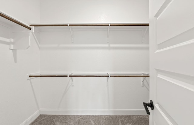 16824 Santiaguillo Trce, Manor, TX 78653 - spacious closet featuring carpet