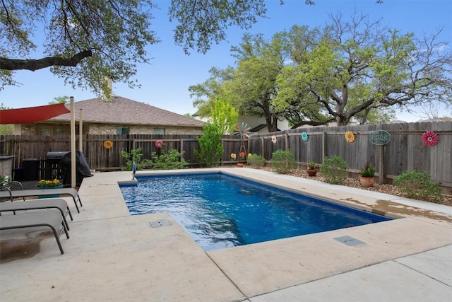4932 Woodstock Dr, Georgetown, TX 78633 - view of pool with a patio area and a fenced backyard