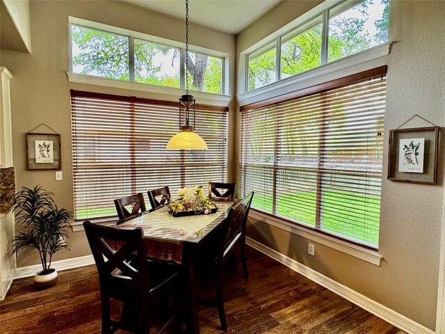 30105 Meadow Greens Dr, Georgetown, TX 78628 - dining room featuring dark wood-style flooring