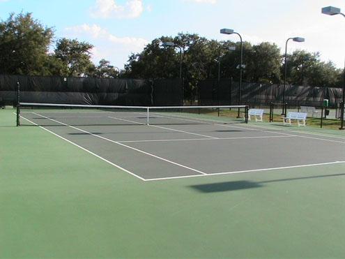 30105 Meadow Greens Dr, Georgetown, TX 78628 - view of tennis court