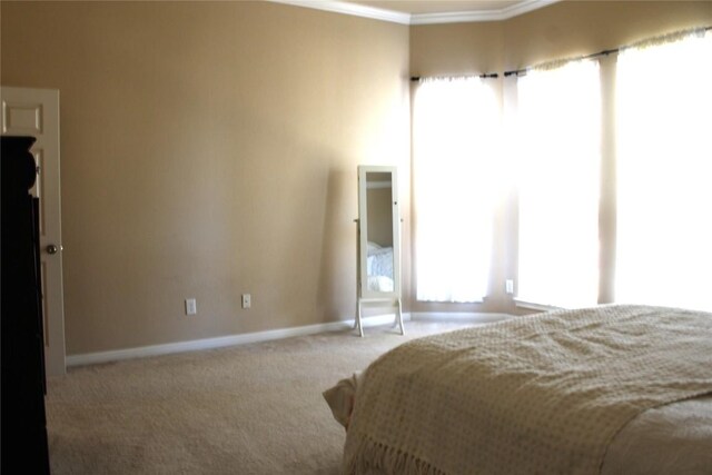 2718 Sun Mountain Dr, Leander, TX 78641 - carpeted bedroom featuring crown molding and multiple windows
