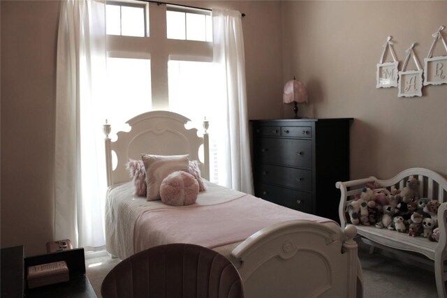 2718 Sun Mountain Dr, Leander, TX 78641 - view of carpeted bedroom