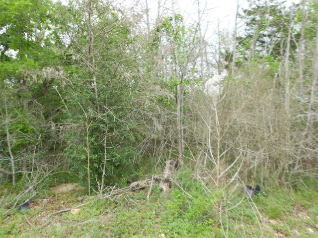 441 Tom Tom, Smithville, TX 78957