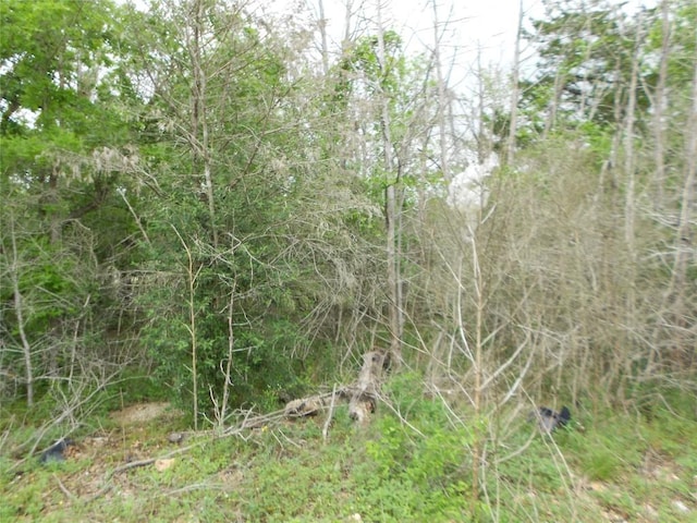 441 Tom Tom, Smithville, TX 78957 - photo 7