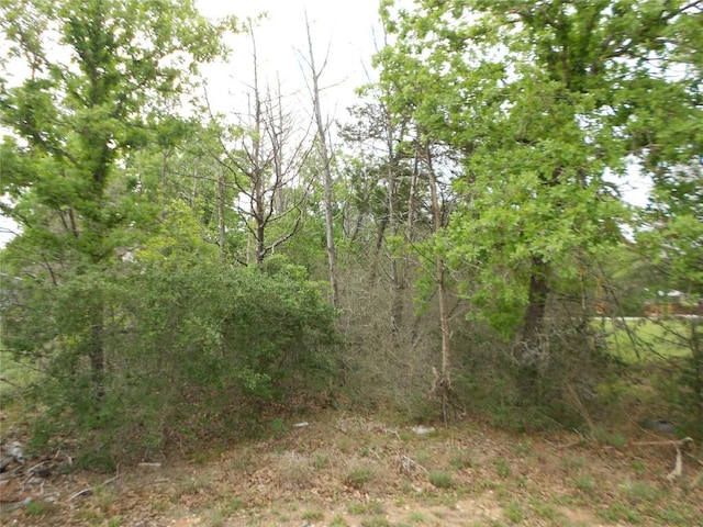 441 Tom Tom, Smithville, TX 78957