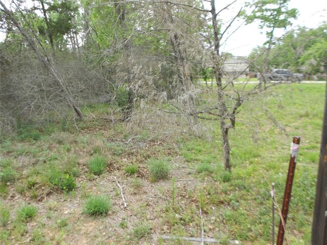 441 Tom Tom, Smithville, TX 78957
