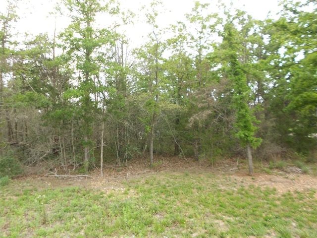441 Tom Tom, Smithville, TX 78957