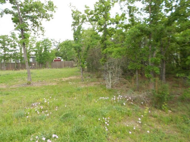 441 Tom Tom, Smithville, TX 78957