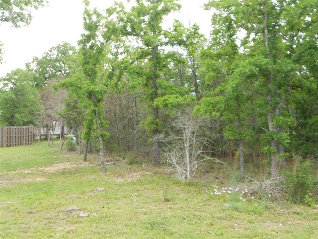 441 Tom Tom, Smithville, TX 78957