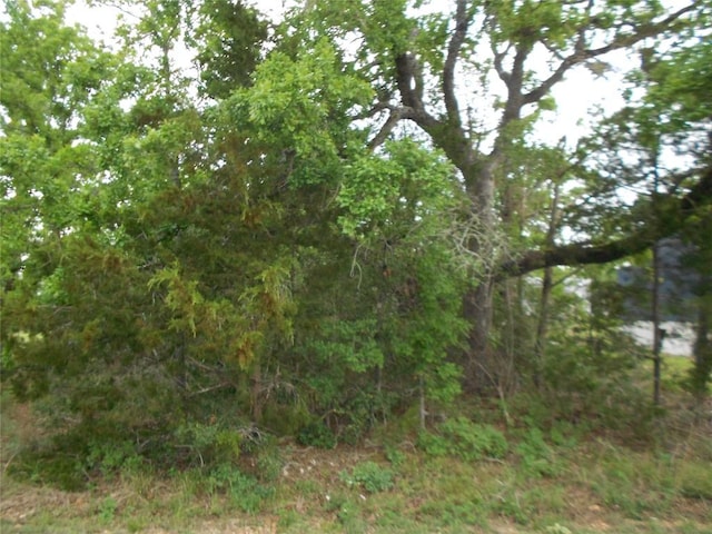 441 Tom Tom, Smithville, TX 78957
