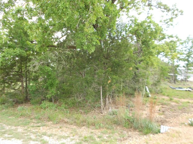 441 Tom Tom, Smithville, TX 78957
