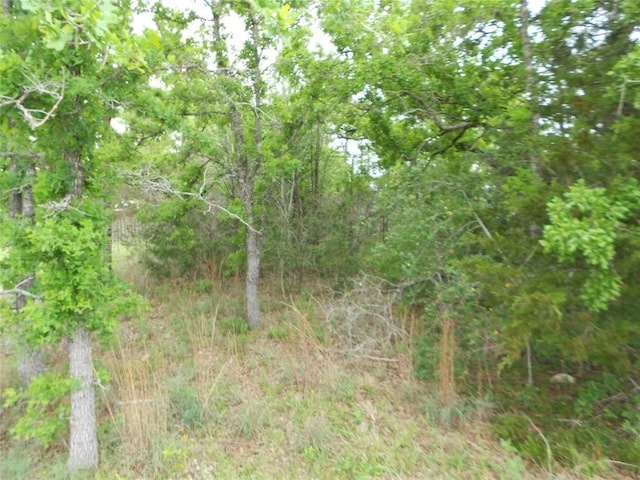 441 Tom Tom, Smithville, TX 78957