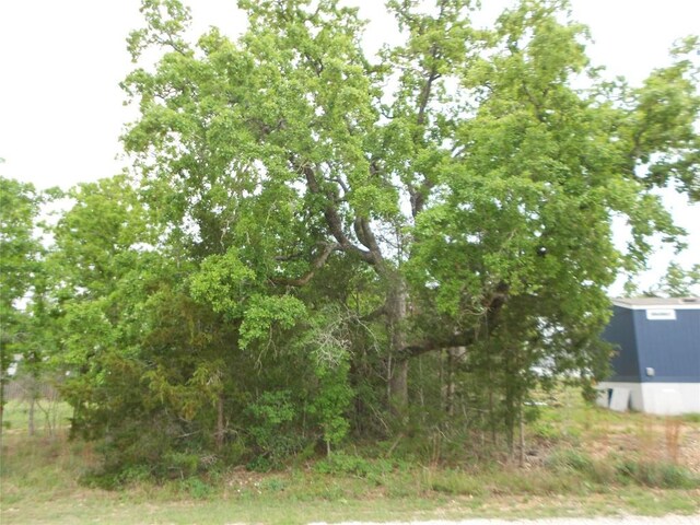 441 Tom Tom, Smithville, TX 78957