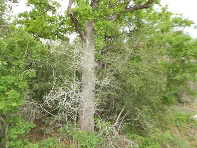 441 Tom Tom, Smithville, TX 78957