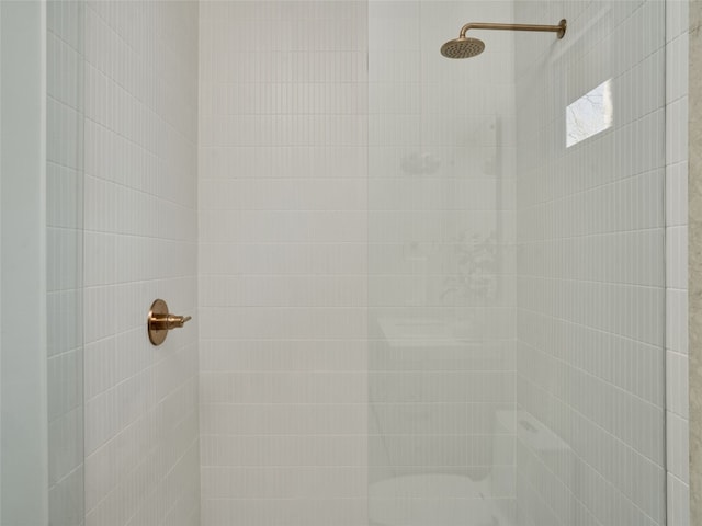 411 Krebs, Austin, TX 78704 - bathroom view of a tile shower