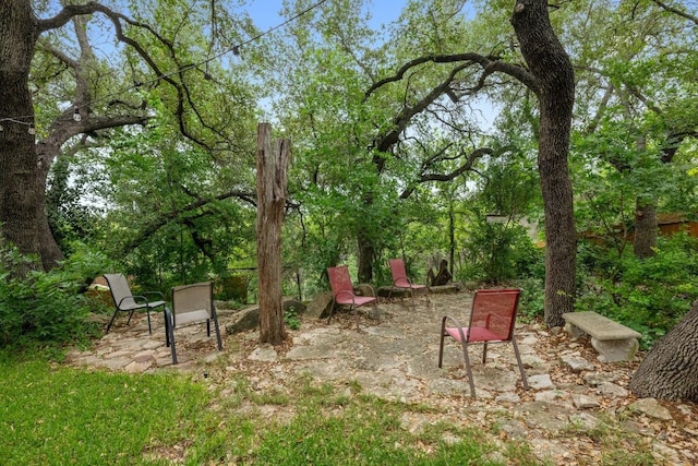 12452 Fairfax Ridge Pl, Austin, TX 78738 - view of yard