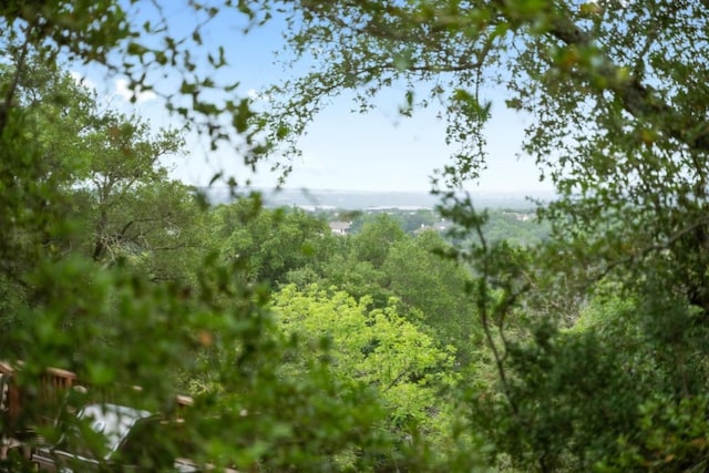 12452 Fairfax Ridge Pl, Austin, TX 78738 - view of nature