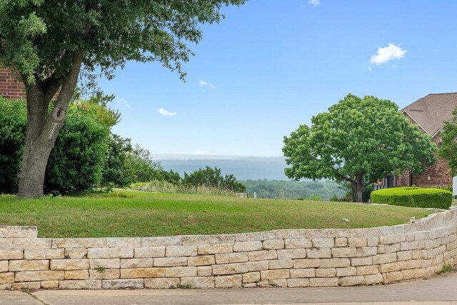 12452 Fairfax Ridge Pl, Austin, TX 78738 - view of yard