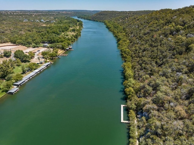 12452 Fairfax Ridge Pl, Austin, TX 78738 - bird's eye view of a forest and a nearby body of water