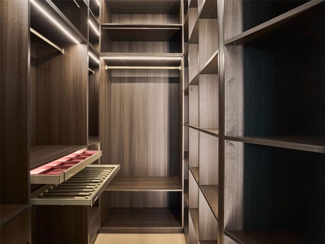 3210 Thompson, Austin, TX 78702 - view of spacious closet