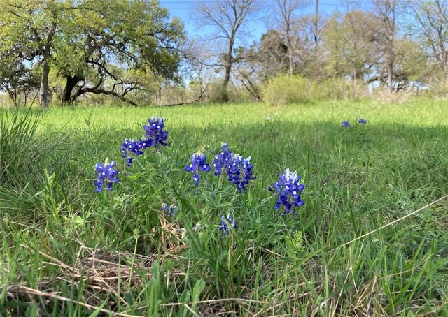 4300 Kellywood Dr, Austin, TX 78739 - photo 5