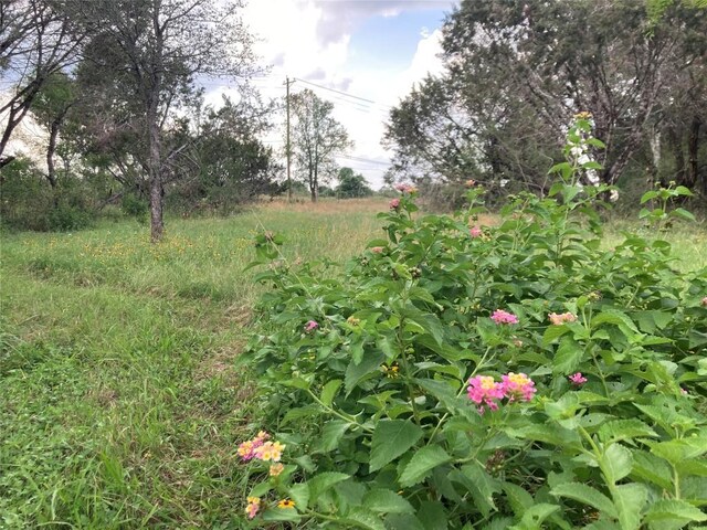 4300 Kellywood Dr, Austin, TX 78739 - photo 10
