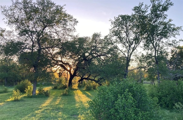 4300 Kellywood Dr, Austin, TX 78739 - photo 1